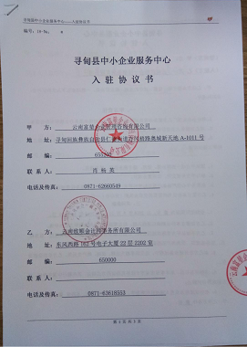 云南致顺会计师事务所有限公司