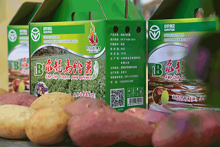 “泵龍＋图形牌”马铃薯